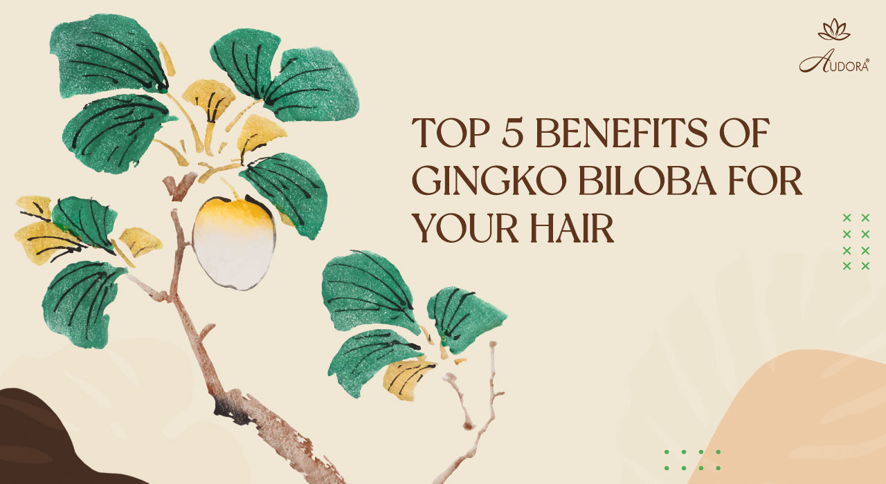 TOP 5 BENEFITS OF GINGKO BILOBA FOR YOUR HAIR